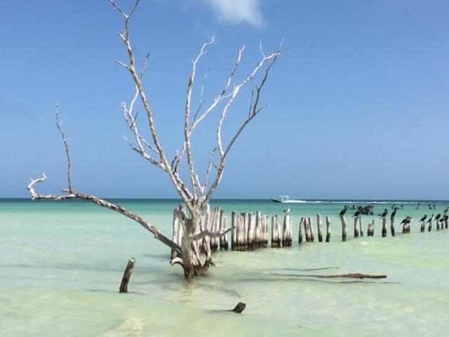 Casa Hridaya Hotel Boutique Isla Holbox Zewnętrze zdjęcie